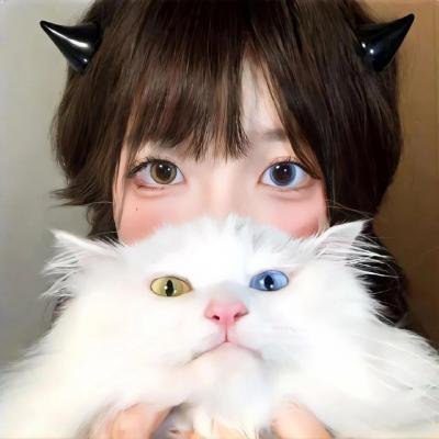 退休返聘之大夏机长