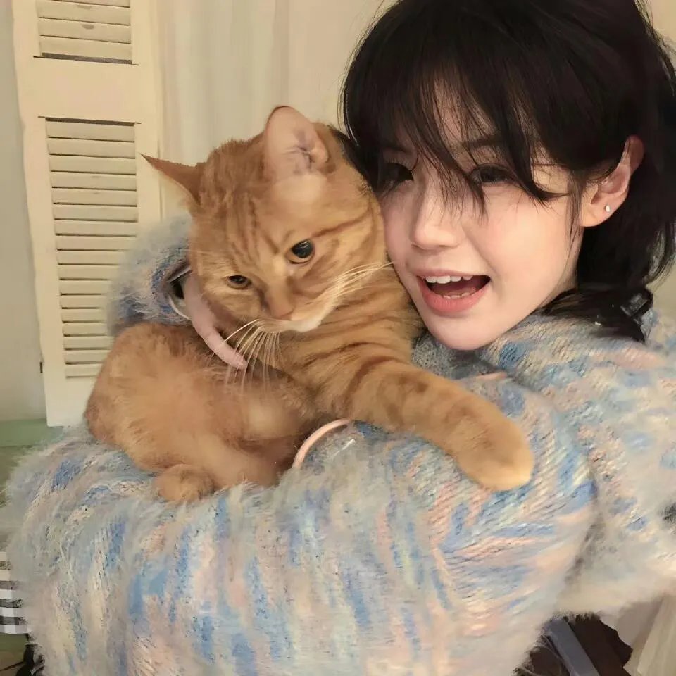 宫本武藏 一乘寺之决斗